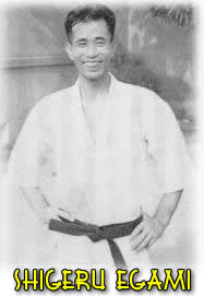 shigeru egami